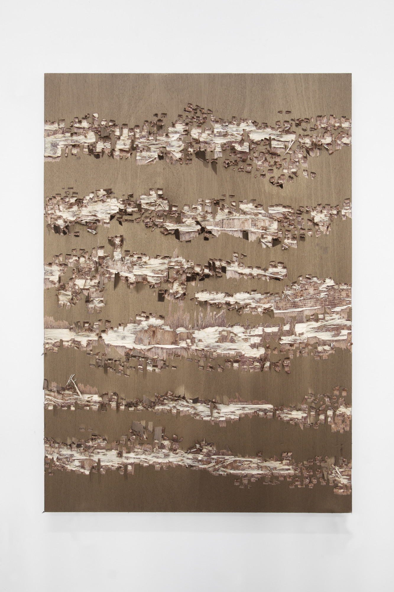 IsabelleFerreira_Subtraction(ara M275)_2013_©IsabelleGiovacchini